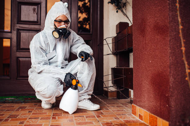 Reliable Bed Bug Control contractor in West Springfield, VA by Nex Pest Control