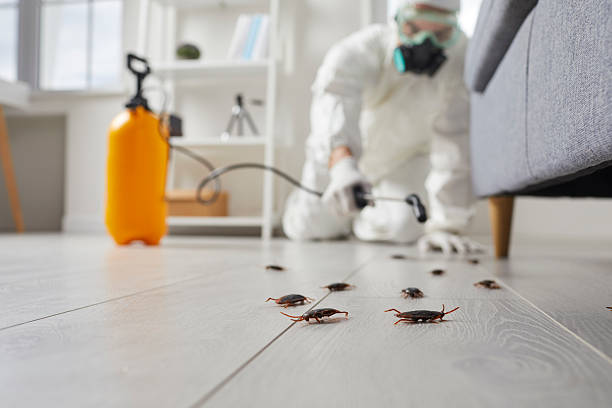 Trusted Bed Bug Control service in West Springfield, VA - Nex Pest Control