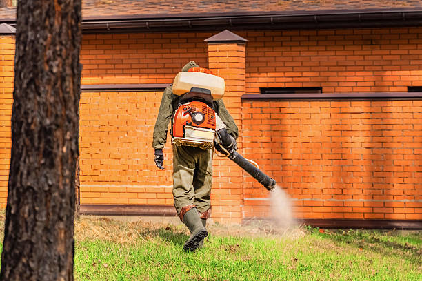 Trusted Fumigation Services service in West Springfield, VA - Nex Pest Control
